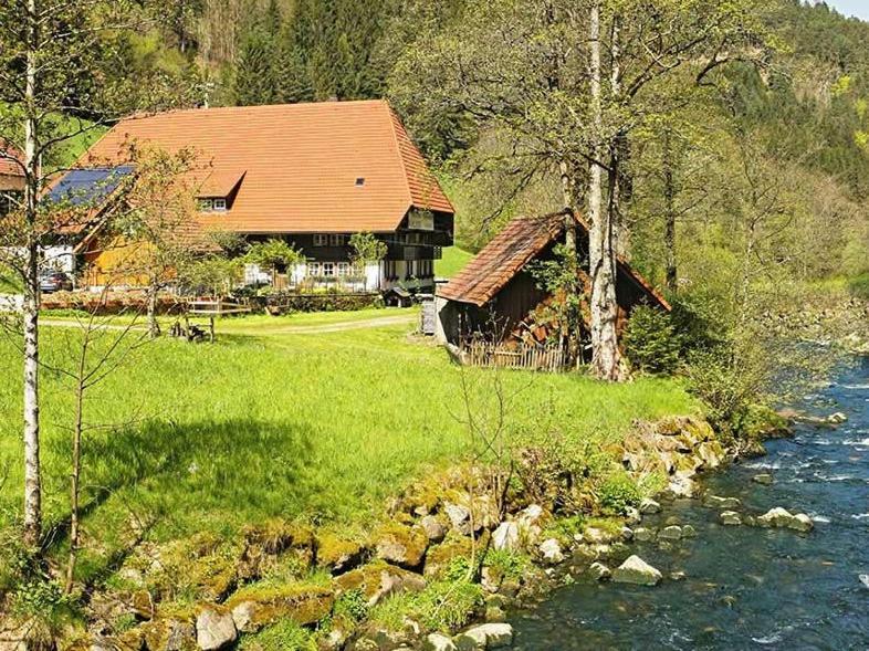 Gästehaus Ursula Hornberg Exterior foto