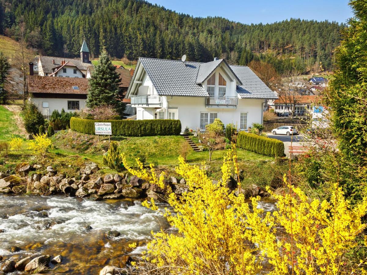 Gästehaus Ursula Hornberg Exterior foto