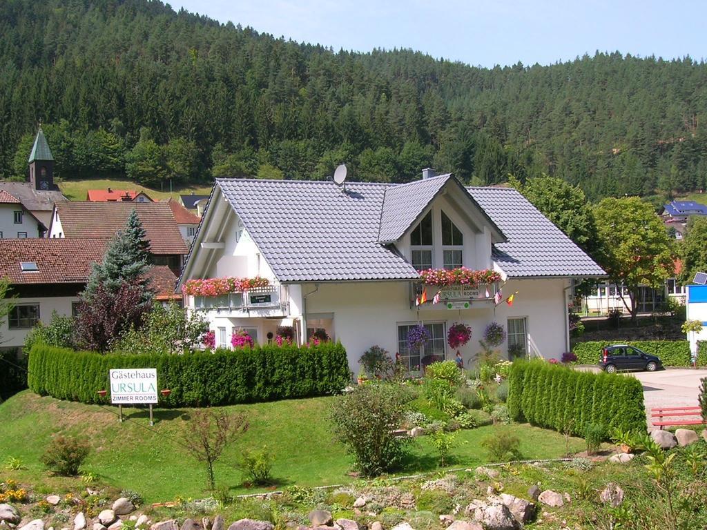 Gästehaus Ursula Hornberg Exterior foto