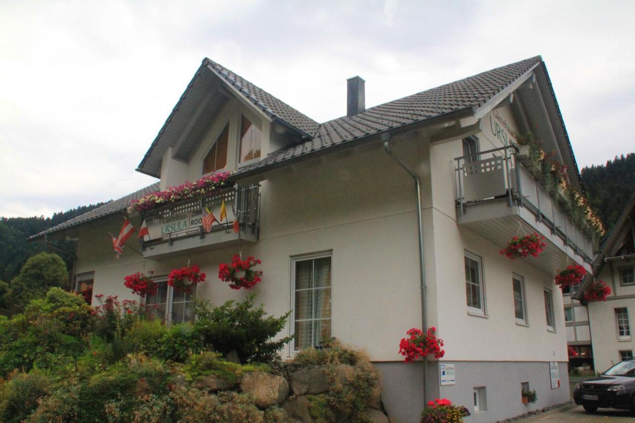 Gästehaus Ursula Hornberg Exterior foto